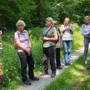 „Der frühe Vogel…“  und singt schon so herrlich? - Frühwanderung